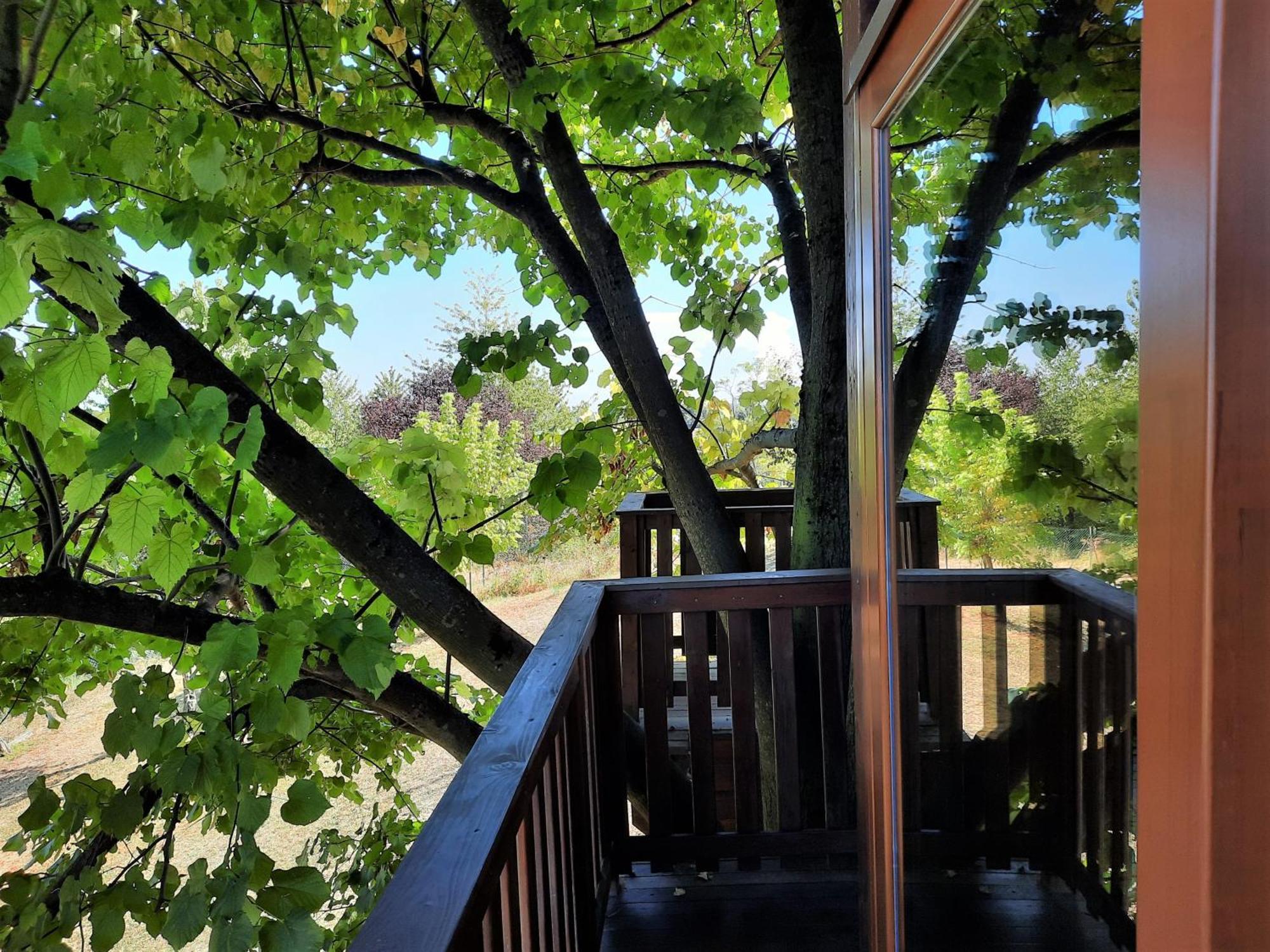 Casa Sull'Albero Aromantica San Salvatore Monferrato Екстериор снимка